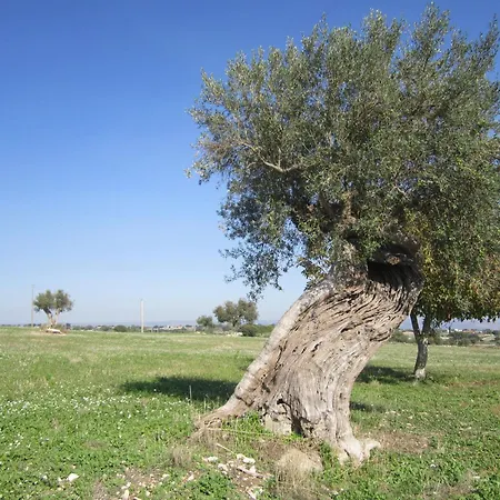Agroturismo Il Granaio &