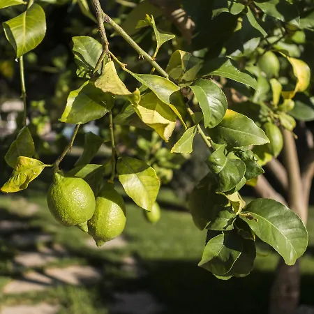Agriturismo Il Granaio & Spa Farm stay *